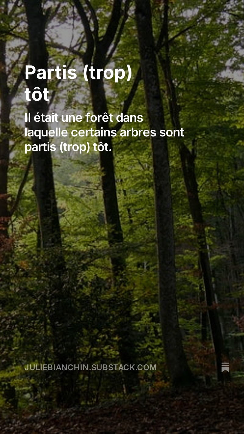 Mes mots sur substack